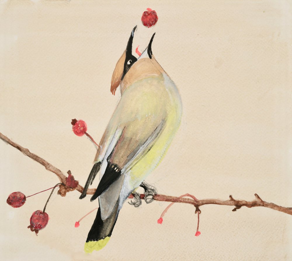 Birdie and Red Berries — Giclée print by Kathleen Deyo