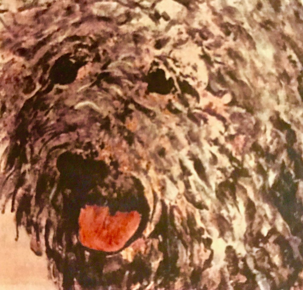 Dog — Giclée print by Kathleen Deyo