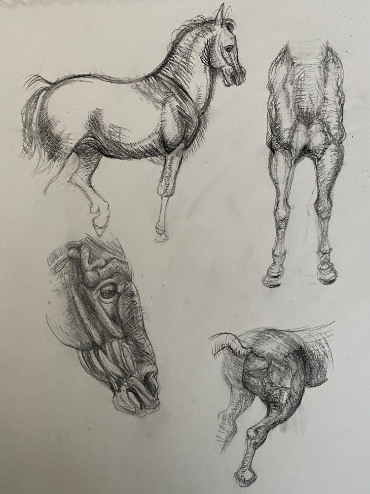 Horse Studies — Original by Kathleen Deyo