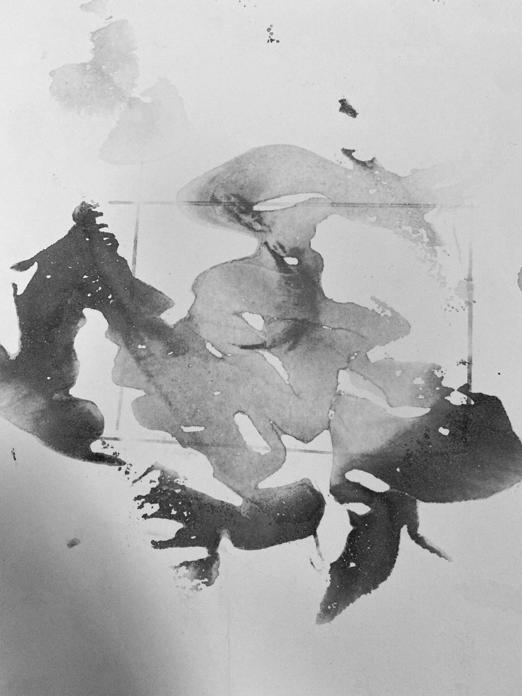 Sumi-e Pomegranate — Sumi-e ink by Kathleen Deyo